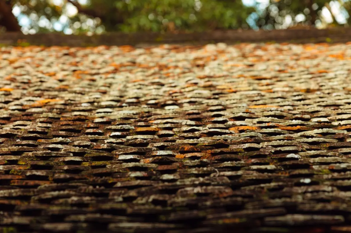 Aging shingle roof with moss growth and granule loss in Temecula, CA